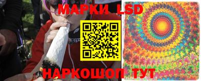 прущие крисы Гудермес